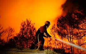 A firefighter of Alcoy and Elda tries to
